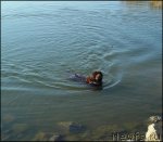 Превью фото № 65425