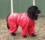 Превью фото № 65494