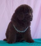 Превью фото № 65512