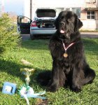 Превью фото № 65531