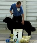 Превью фото № 65552