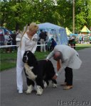 Превью фото № 65713