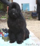 Превью фото № 65730