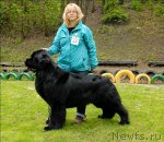 Превью фото № 65763