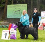 Превью фото № 65798