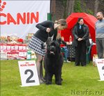 Превью фото № 65818