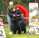 Превью фото № 65820