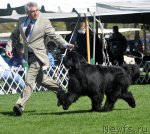 Превью фото № 66072