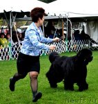 Превью фото № 66140