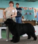 Превью фото № 66295