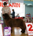 Превью фото № 66327