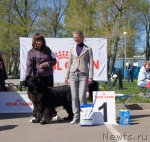 Превью фото № 66368