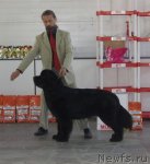 Превью фото № 66375