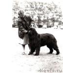 Превью фото № 664