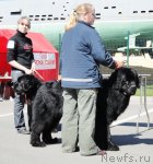 Превью фото № 66857