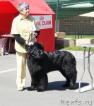 Превью фото № 66866