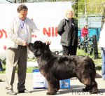 Превью фото № 66873