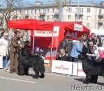 Превью фото № 66888