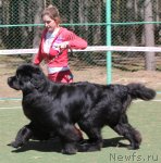 Превью фото № 66947