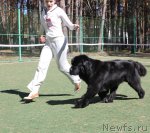 Превью фото № 66953