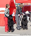 Превью фото № 66966