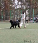 Превью фото № 66986