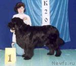 Превью фото № 67