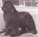 Превью фото № 670