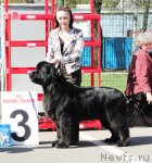 Превью фото № 67050