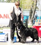 Превью фото № 67064