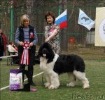 Превью фото № 67414