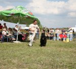 Превью фото № 67558