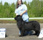 Превью фото № 67663