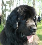 Превью фото № 67670