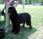 Превью фото № 67694