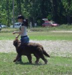 Превью фото № 67697