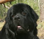 Превью фото № 67707