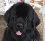 Превью фото № 67808