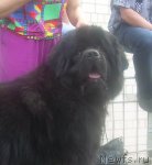 Превью фото № 67819