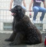 Превью фото № 67820