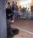 Превью фото № 67823