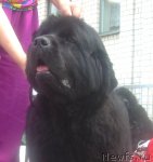 Превью фото № 67829