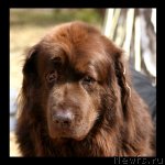 Превью фото № 67989