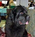 Превью фото № 67992