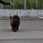 Превью фото № 68046