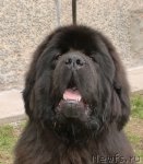 Превью фото № 68123