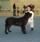 Превью фото № 6816