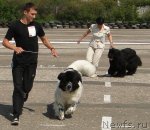 Превью фото № 68327