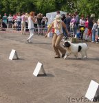 Превью фото № 68328