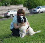 Превью фото № 68332